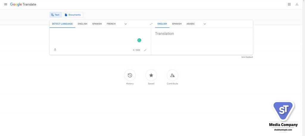 Google Website Translators