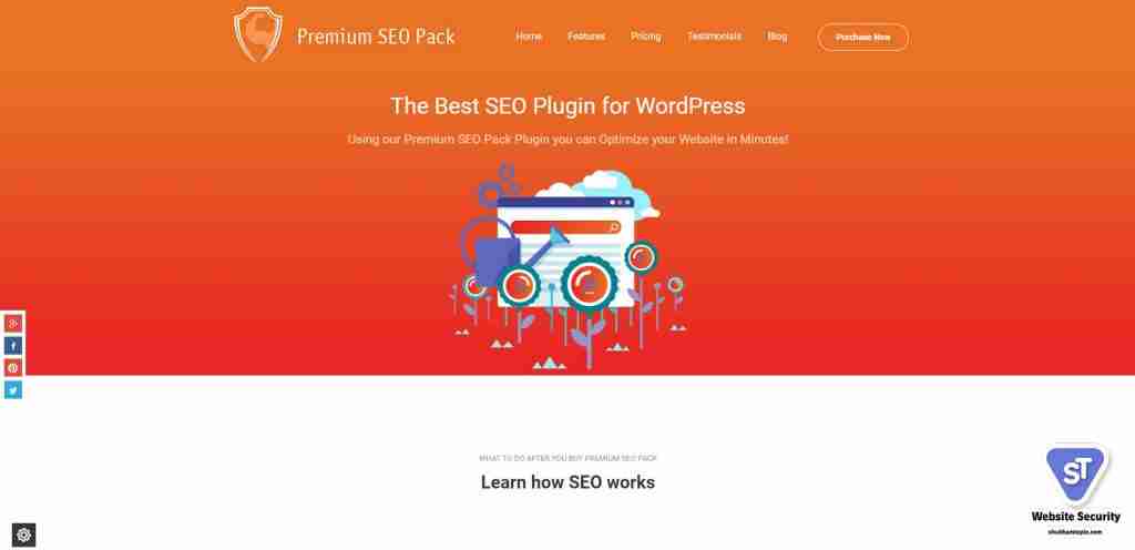Premium Team's SEO Pack